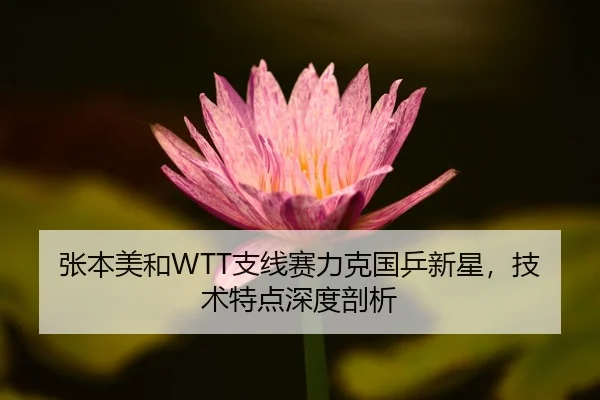张本美和WTT支线赛力克国乒新星，技术特点深度剖析