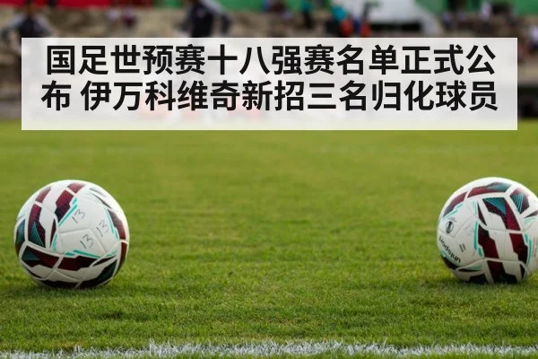 国足世预赛十八强赛名单正式公布 伊万科维奇新招三名归化球员